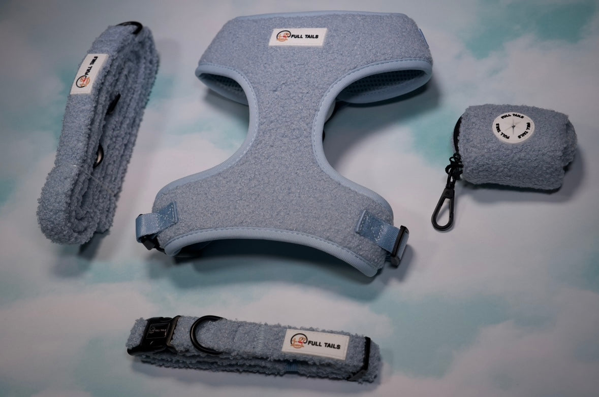 TEDDY ADJUSTABLE NECK HARNESS, LEAD, POOP BAG & COLLAR BUNDLE SET