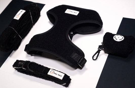 TEDDY ADJUSTABLE NECK HARNESS, LEAD, POOP BAG & COLLAR BUNDLE SET