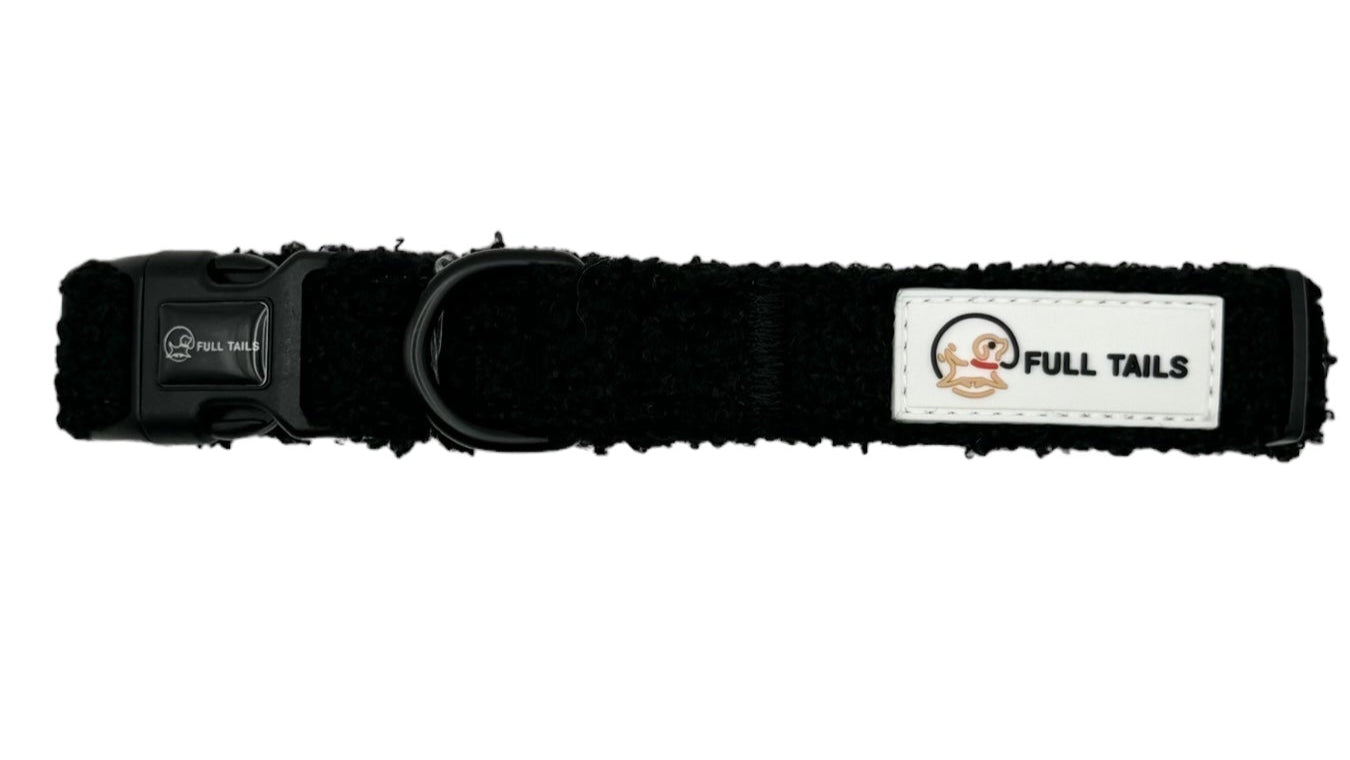 A black nylon dog collar with an adjustable strap, a secure buckle, and a D-ring for leash attachment.
