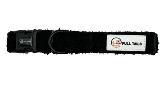 A black nylon dog collar with an adjustable strap, a secure buckle, and a D-ring for leash attachment.