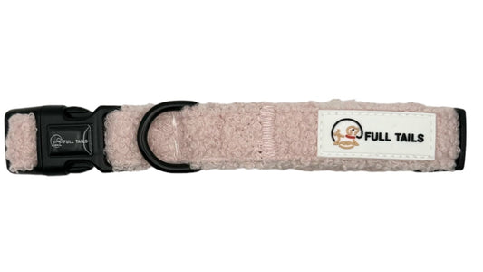 A pink dog collar with a black buckle and a D-ring, featuring the text 'PAUL TRAIL' on a label.